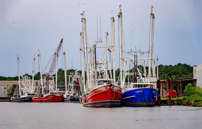 Shrimp vessels in Alabama