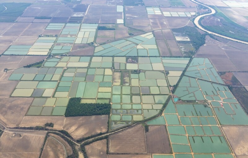 catfish farms in Mississippi