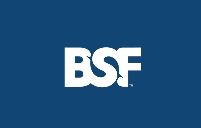 BSF logo