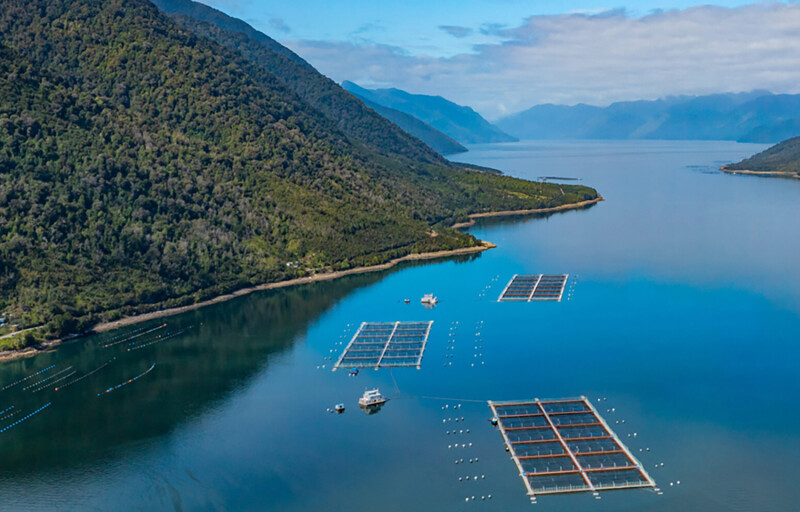A Ventisqueros salmon farm