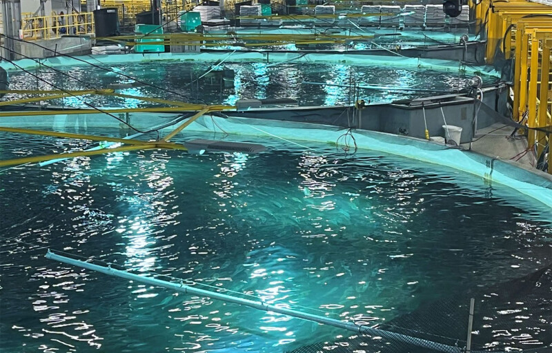 A row of salmon recirculating aquaculture system tanks at Proximar Seafood's facility in Yokohama, Japan