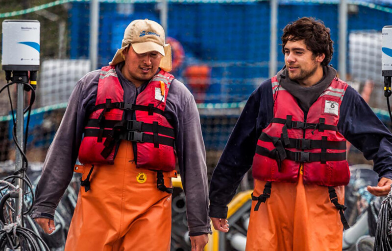 Salmones Camanchaca employees standing on a net pen
