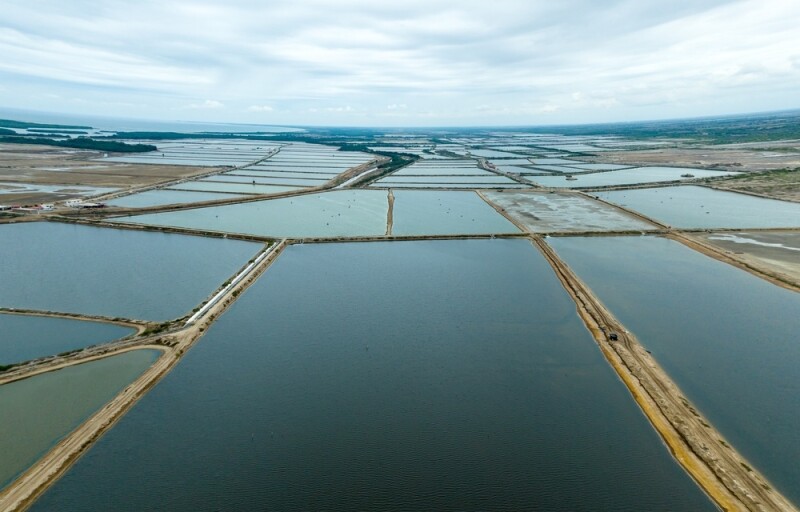shrimp ponds