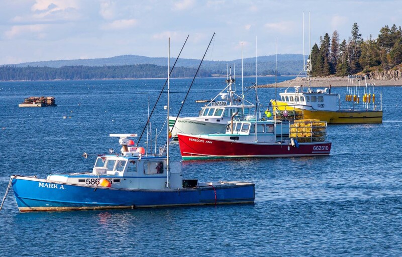 Lobster boats floating on the water in Bar Harbor, Maine