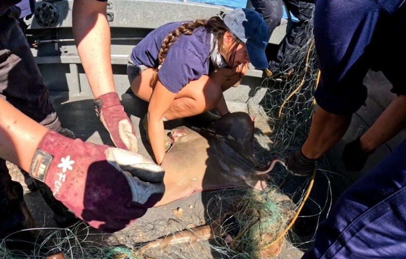 Sea Shepherd Society crew