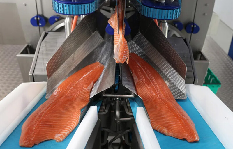 A JBT Marel machine processing salmon fillets