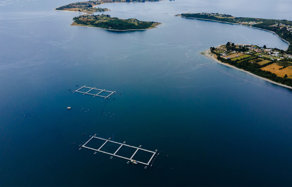 An aerial view of a salmon farm operated by Multi X