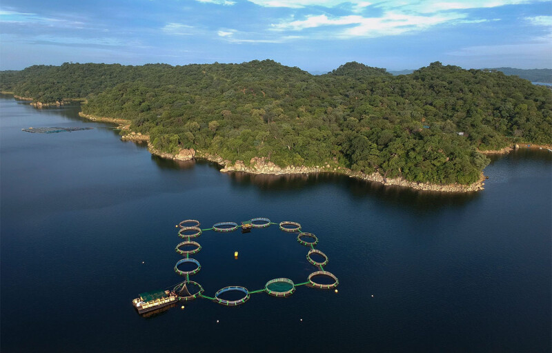 An aerial view of an aquaculture operation in Africa