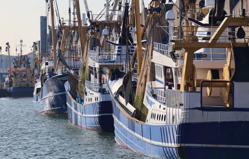 A series of fishing boats in the Netherlands