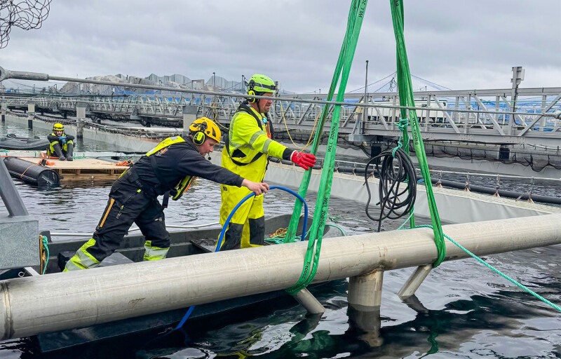 Men working at a Gigante Salmon aquaculture facility