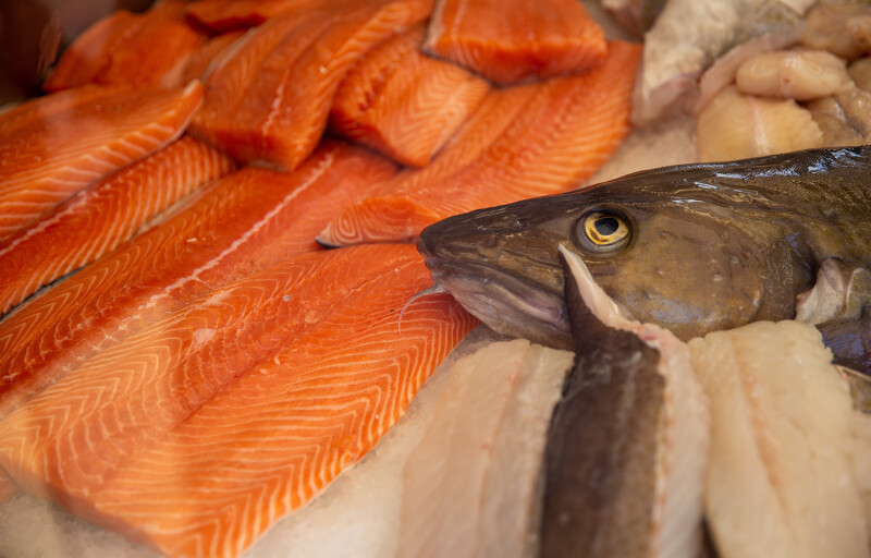 Salmon fillets next to a cod head