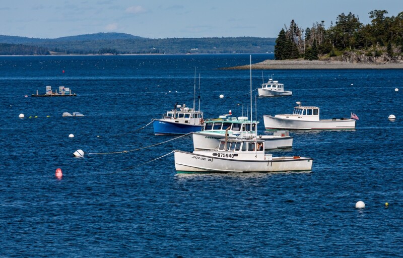 lobster boats