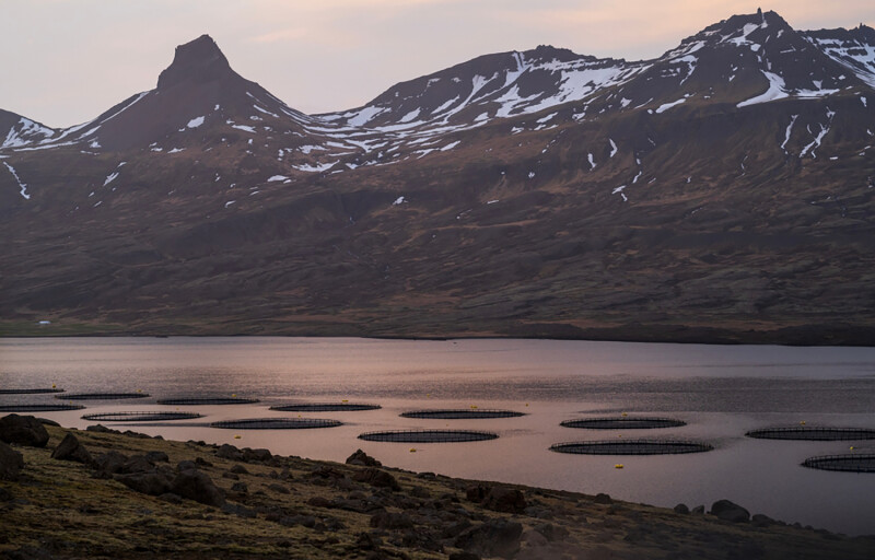 A fish farm in Iceland