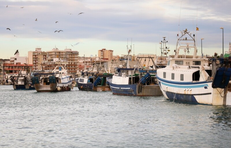 Fishing vessels in Spain