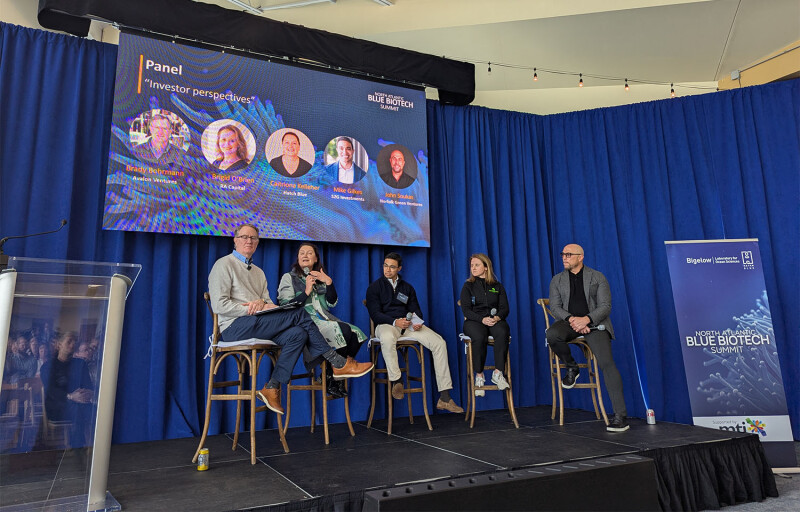 A panel of investors at the North Atlantic Blue BioTech summit
