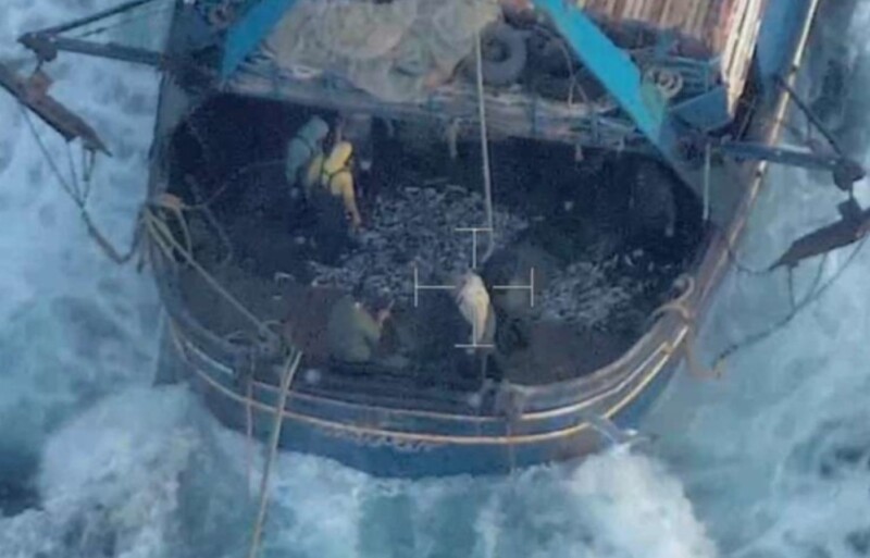 illegal fishing operation