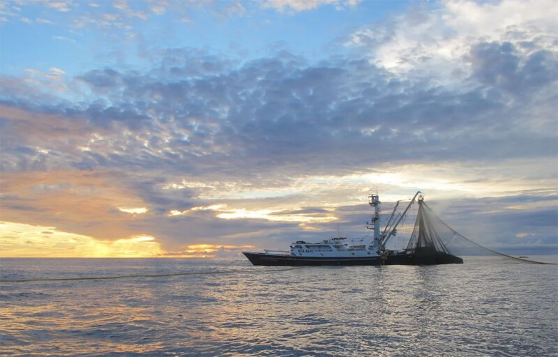 A tuna fishing vessel during a sunset