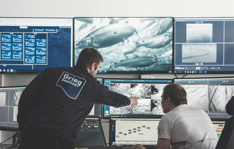 A Grieg Seafood employee in a control panel for a salmon farm