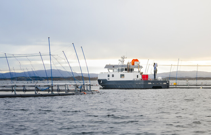 A pair of Måsøval net pens with a boat servicing them