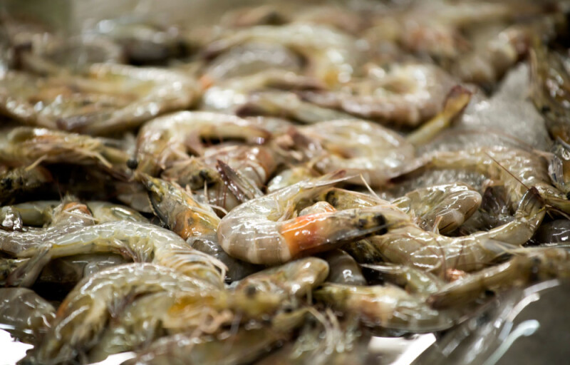A pile of shell-on shrimp