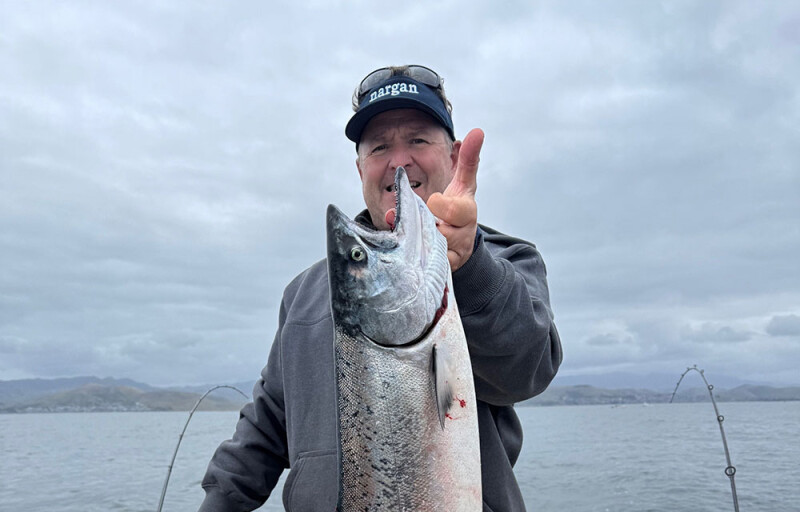 a salmon