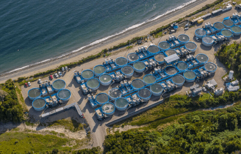 AquaChile land-based salmon tech