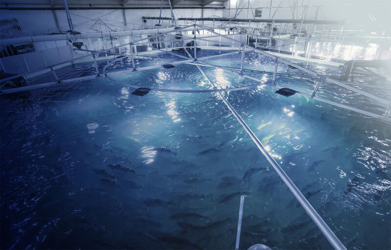 Nordic Aqua Partners' RAS system in China