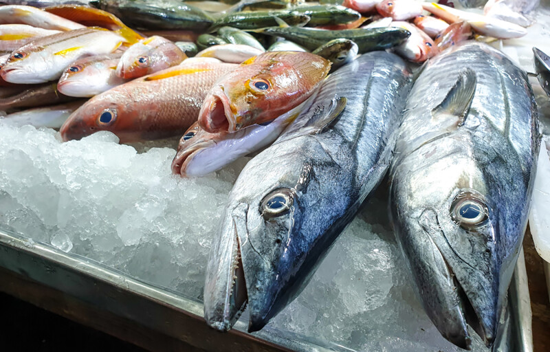 Fresh whole fish on ice
