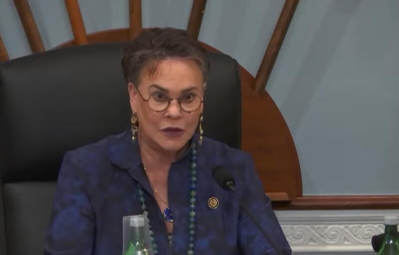 U.S. Representative Harriet Hageman (R-Wyoming)