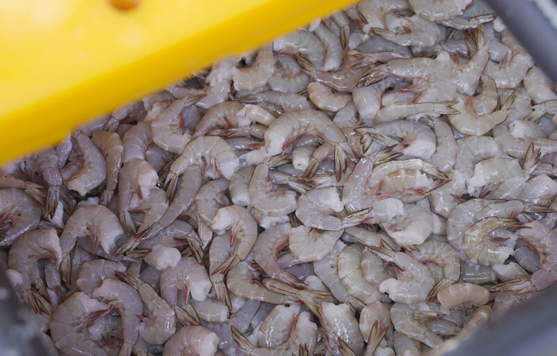 A pile of shrimp