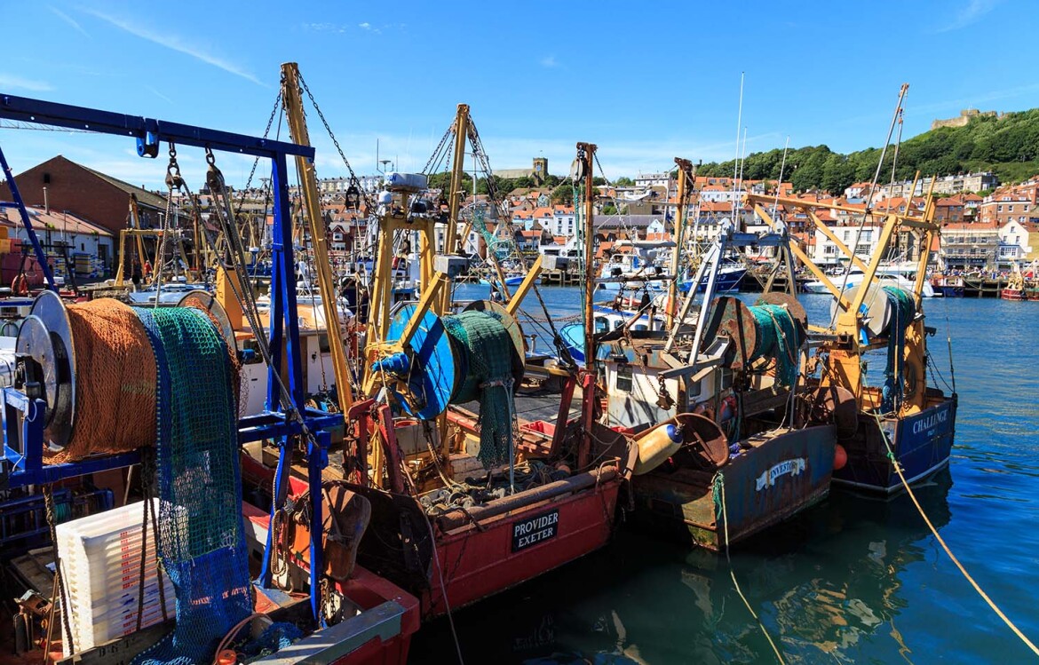 A fishing port in Scarborough, England