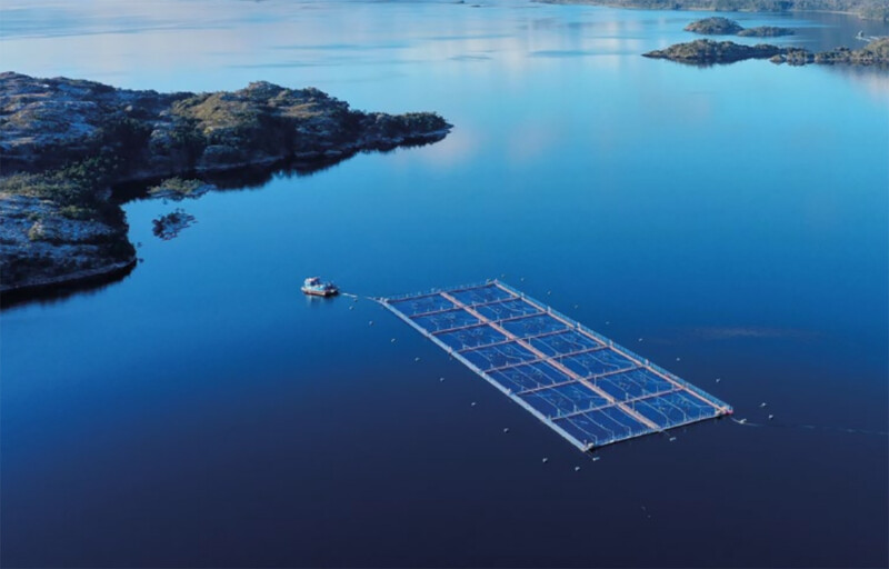 A Blumar salmon farm