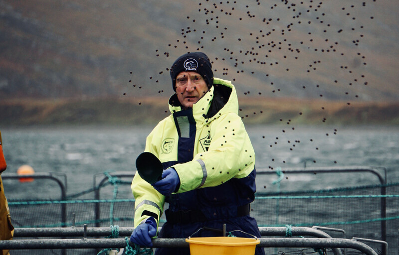 Salmon Scotland Chief Executive Tavish Scott throwing salmon feed
