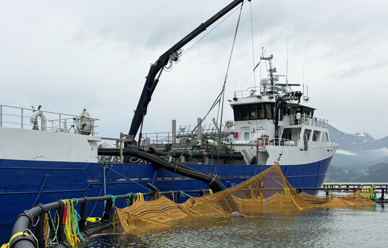 A boat stocking cod inside one of Ode's net pens