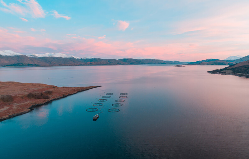 A Scottish salmon farm