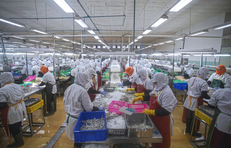 An Indonesian shrimp-processing facility