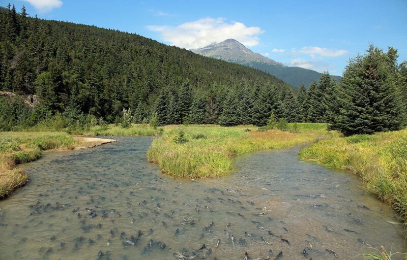 Alaska's Department of Natural Resources is discussing changes to the state's water reservation system