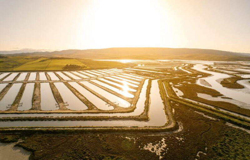 An aerial view of an aquaculture operation