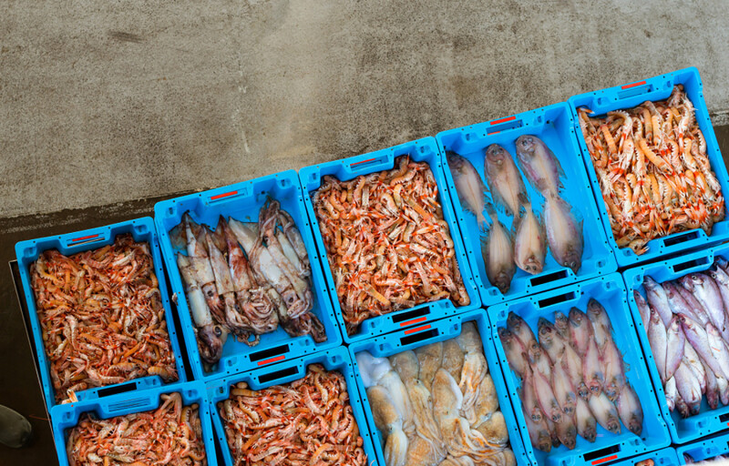 Seafood in containers