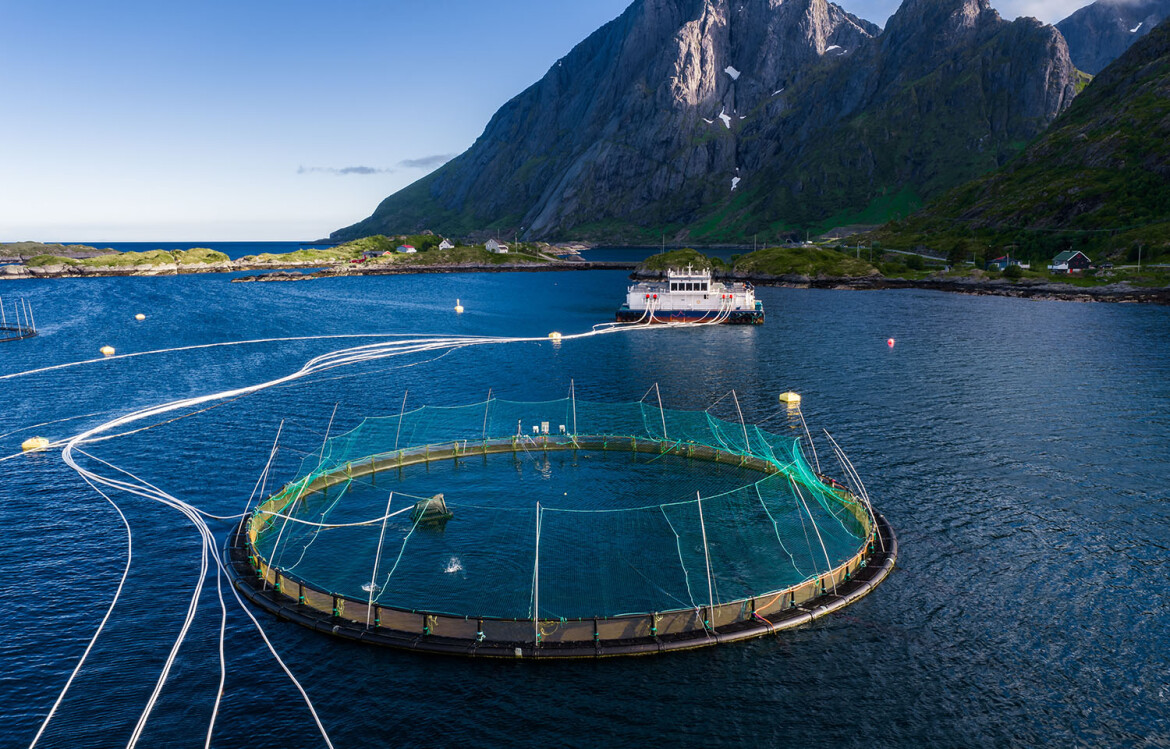 A net pen in Norway