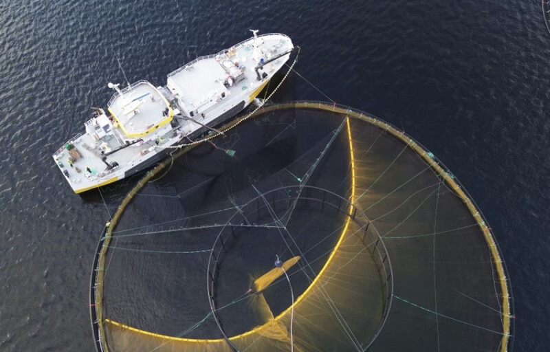 SmoothMove fish moving net