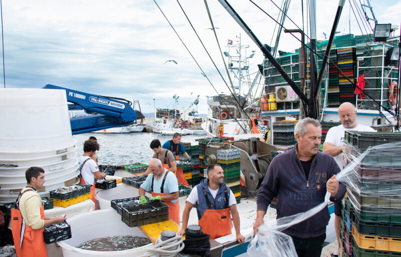 Fishers sorting catch