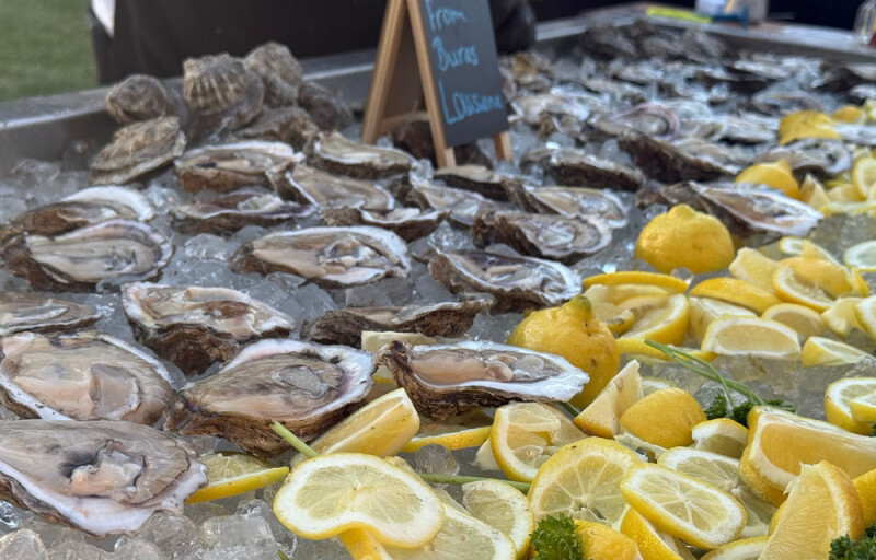 oysters