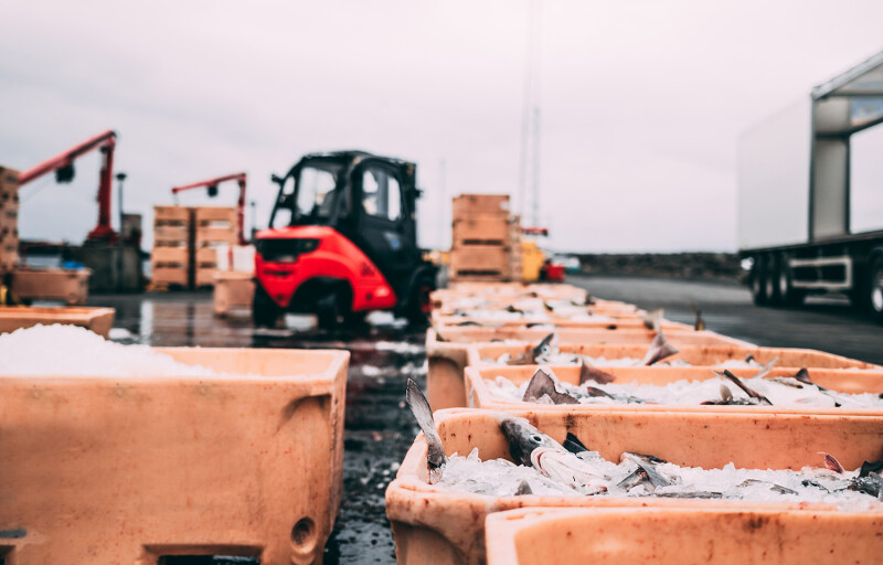 Seafood being shipped out of a harbor