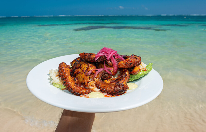 A person holding grilled octopus up to Caribbean waters