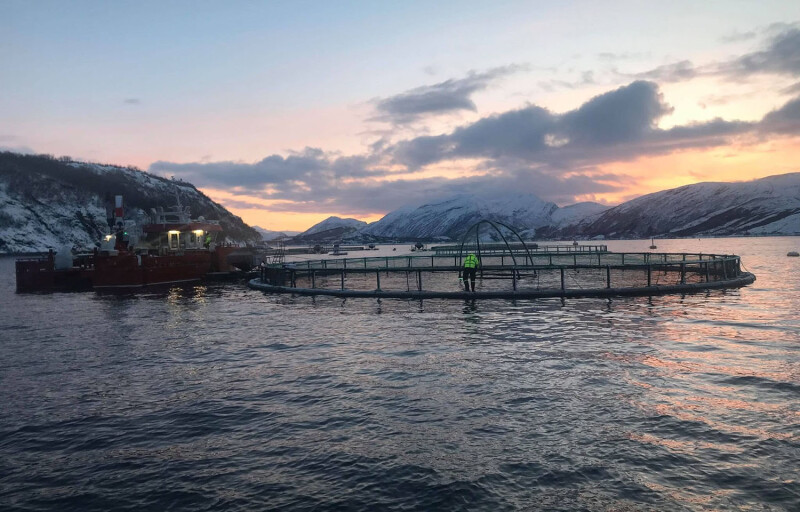 Arctic Seafood Group net pens in Norway