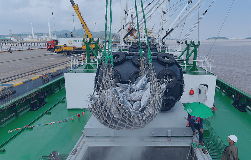 A Pingtai Rong tuna vessel