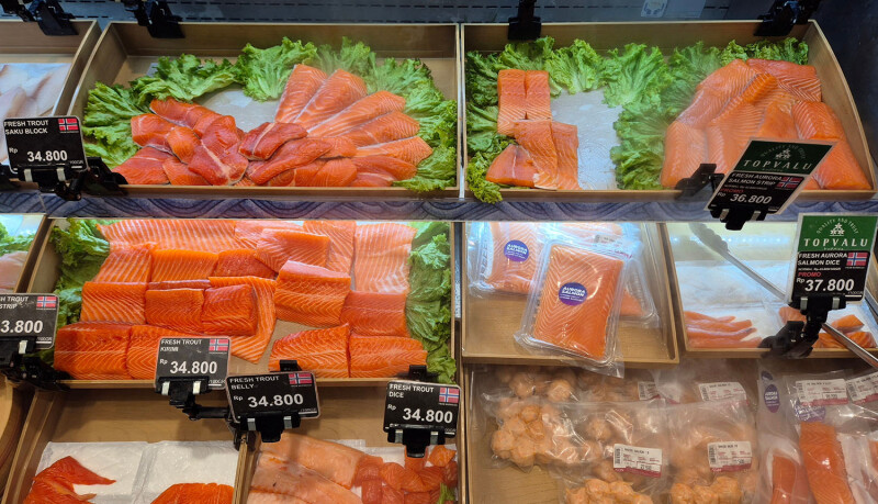 salmon from Norway for sale