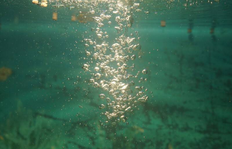 Bubbles floating underwater