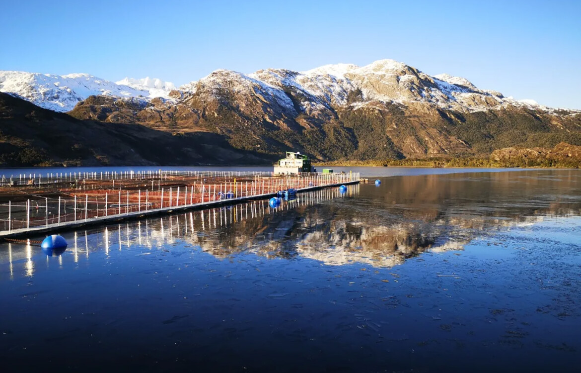 A Chilean salmon farm